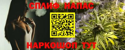 гидра Бийск
