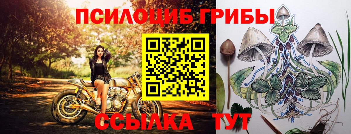 Галлюциногенные грибы Psilocybe  Вход с VPN  Зеленокумск 